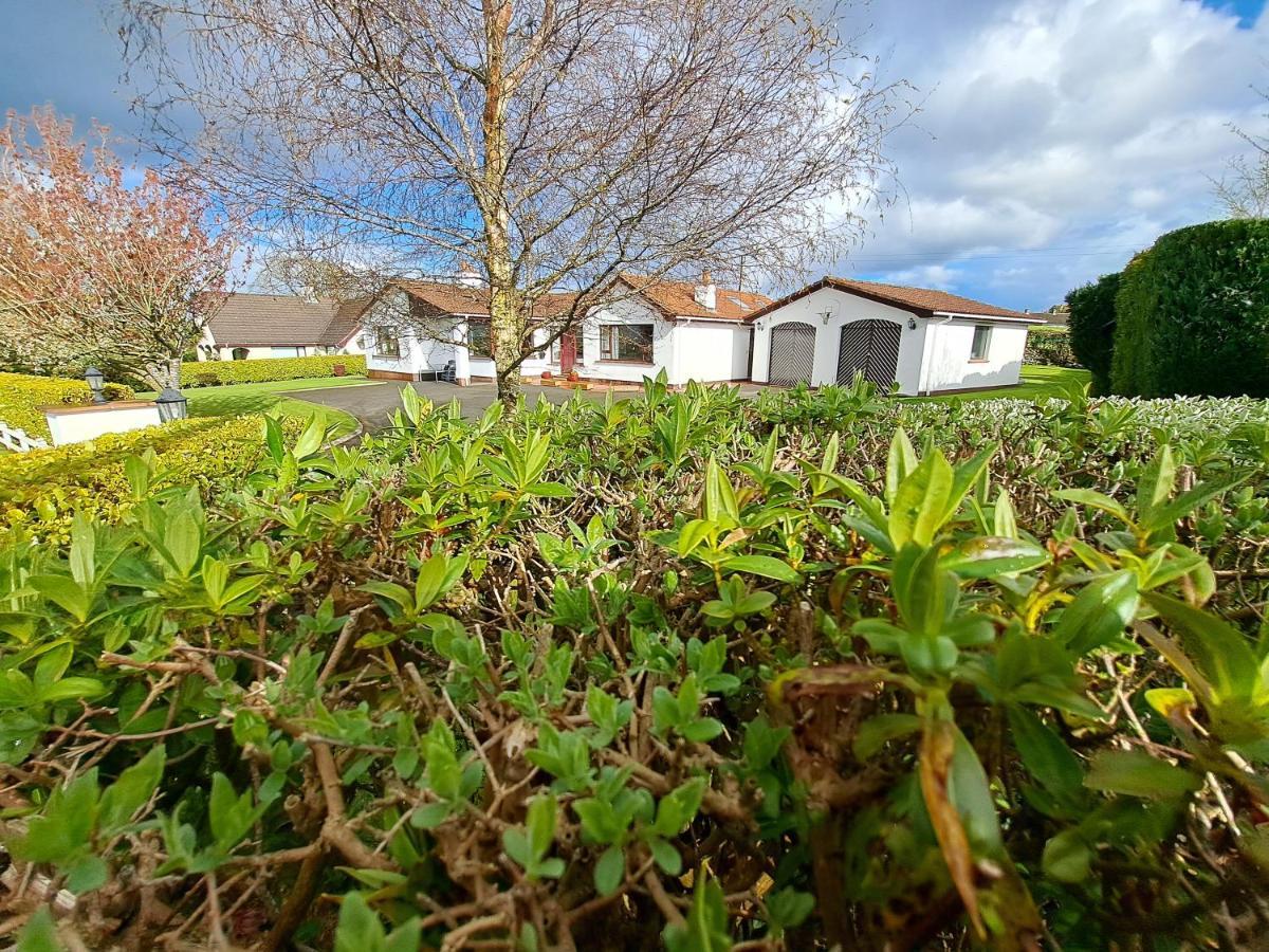 Lecale Bliss Bed & Breakfast Downpatrick Exterior photo